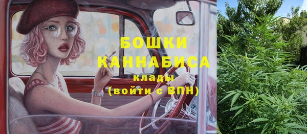 гидра Алексеевка