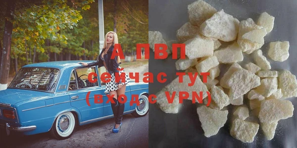 гидра Алексеевка