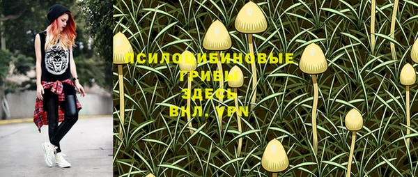 гашиш Абаза