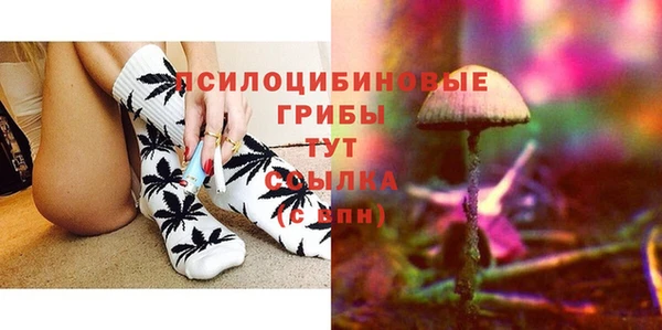 гидра Алексеевка