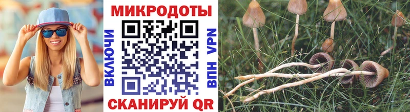 Галлюциногенные грибы Psilocybe  как найти закладки  Балахна 