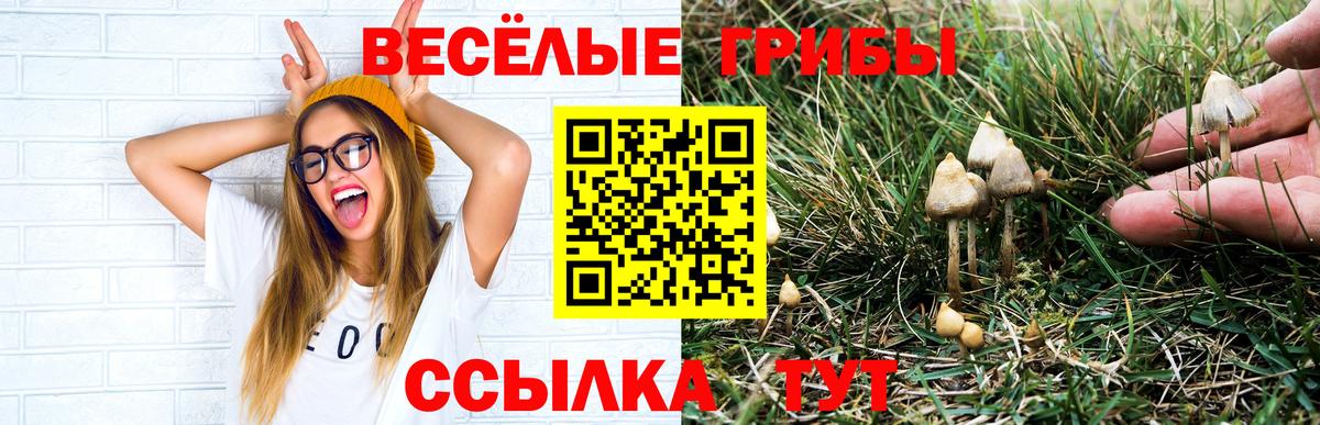 Галлюциногенные грибы мухоморы  Вход с VPN  Балахна 